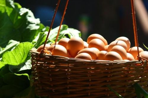 Lợi nhuận của một công ty Mỹ tăng đến 700% nhờ quả trứng