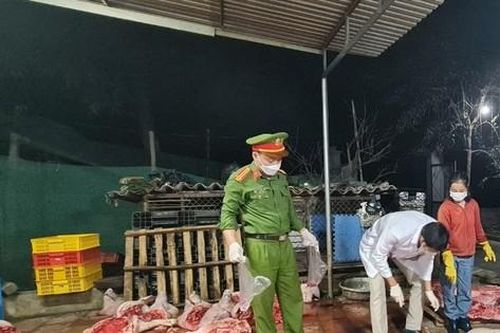 Mổ hơn 1 tấn lợn chết ở Bắc Giang đưa sang Bắc Ninh tiêu thụ
