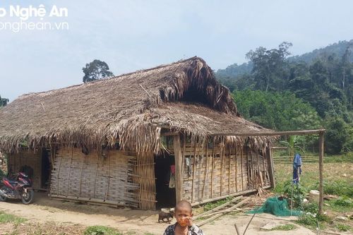 Người Đan Lai chật vật tìm kế sinh nhai ở Khe Nóng