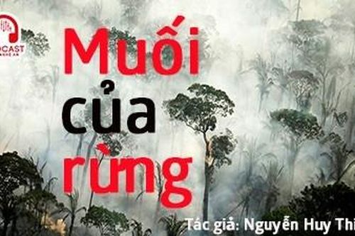 Đọc truyện đêm khuya: Muối của rừng