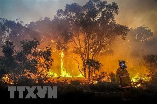 Thái Lan 'chạy đua' với thời gian để dập tắt cháy rừng tại Nakhon