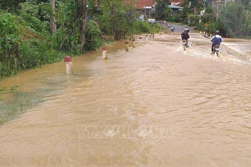 'Cơn mưa vàng' giải cứu khô hạn toàn tỉnh Lâm Đồng