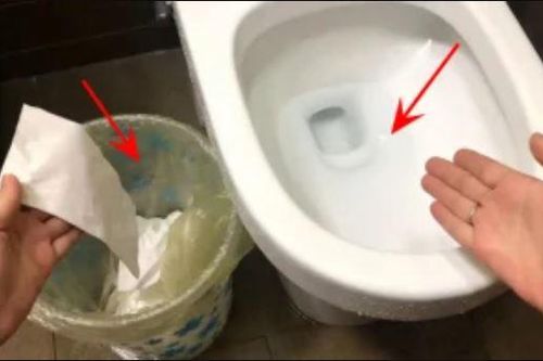 Nên vứt giấy vệ sinh vào bồn cầu hay thùng rác: Tưởng đơn giản nhưng không phải ai cũng biết đáp án đúng