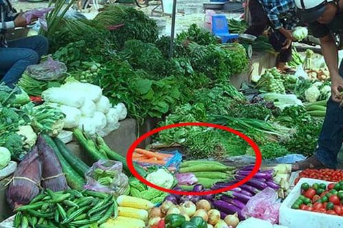 Đi chợ thấy 5 loại rau này nhớ mua ngay, vừa ngon lại bổ dưỡng, không lo phun thuốc
