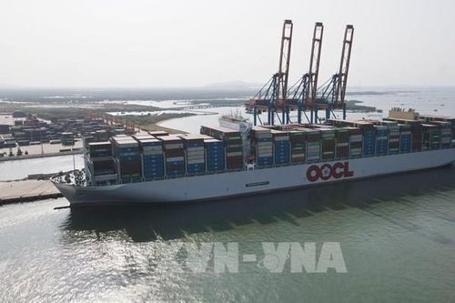 Siêu tàu container đã đến cảng Cái Mép-Thị Vải