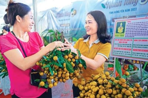 Xúc tiến thương mại vùng Đồng bằng sông Hồng: Đồng bộ các nguồn lực
