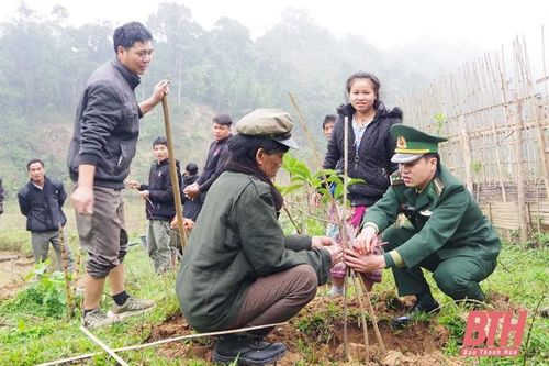Đẩy mạnh công tác trồng rừng, trồng cây đầu năm