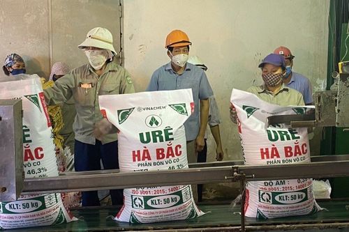 Đạm Hà Bắc hạ mục tiêu lợi nhuận năm 2023 tới 61%
