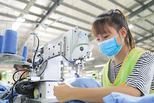 Đề xuất giảm thuế đối với doanh nghiệp quy mô nhỏ