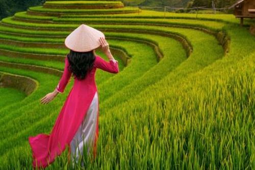 Việt Nam là một trong 5 điểm đến đáng giá nhất mùa hè này