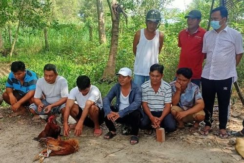 Cảnh sát đột kích sới bạc trong vườn dừa
