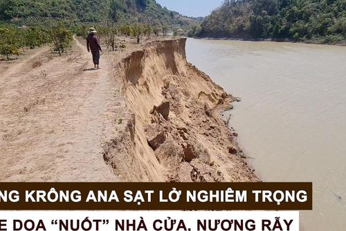 Sông Krông Ana sạt lở nghiêm trọng, đe dọa 'nuốt' nhà cửa, nương rẫy