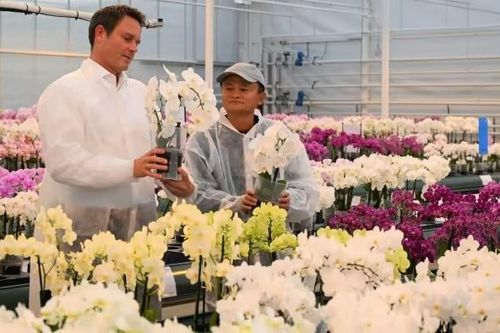 Cuộc sống ở ẩn khác hoàn toàn trước đây của tỷ phú Jack Ma
