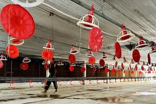 Nhà nông, doanh nghiệp nhỏ đói vốn