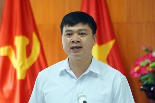 Phê bình Chủ tịch huyện Cát Hải vì chậm trễ thực hiện dự án