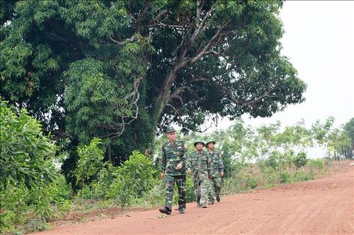 Biên phòng Tây Ninh góp phần giữ vững an ninh nơi biên giới