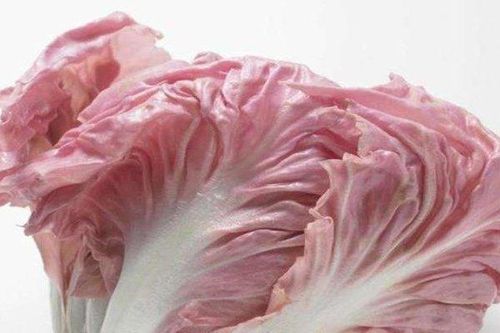 7 loại rau củ quen thuộc nhưng giá cực đắt, chỉ có nhà giàu mới vung tiền mua