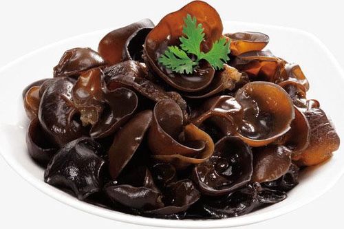 Bất ngờ với 7 công dụng tuyệt vời của mộc nhĩ, tuyệt đối không nên bỏ qua