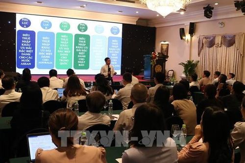 Tp. Hồ Chí Minh giải đáp vướng mắc liên quan đến thủ tục hải quan