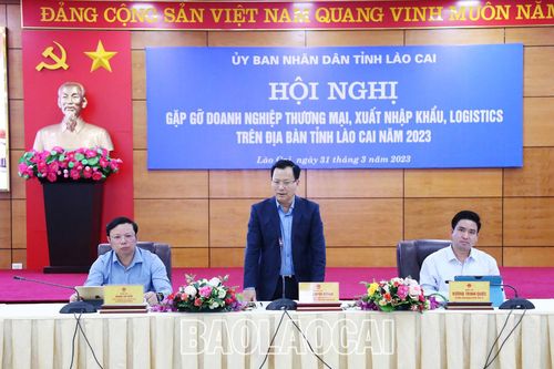 UBND tỉnh gặp gỡ doanh nghiệp thương mại, xuất - nhập khẩu, logistics