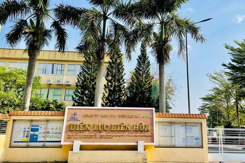 Vụ lấy 'đất vàng' cho điện lực thuê: HĐND tỉnh Đồng Nai giám sát việc thi hành án
