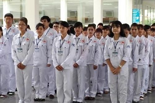 Cơ hội việc làm cho điều dưỡng và hộ lý sang Nhật Bản