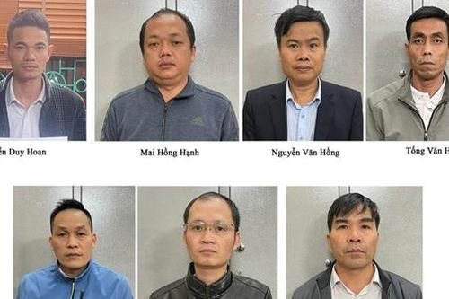 Bộ NN&PTNT lên tiếng về việc loạt cán bộ quản lý rừng bị khởi tố