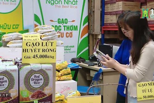 Cùng xây dựng thương hiệu gạo Việt (ngày 31/03/2023)