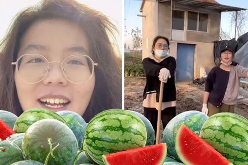 Bỏ việc lương cao ở thành phố về quê trồng dưa hấu