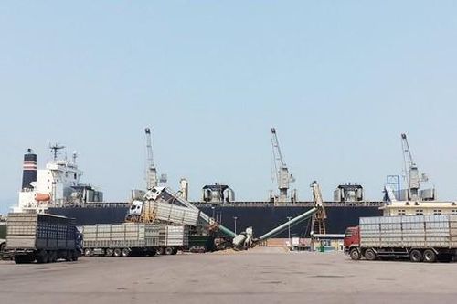 Xử phạt Công ty CP Cảng Chân Mây vì lẫn chất thải nguy hại vào chất thải rắn