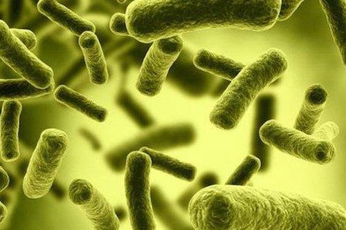 Ngộ độc Botulinum: Nhận biết và phòng ngừa