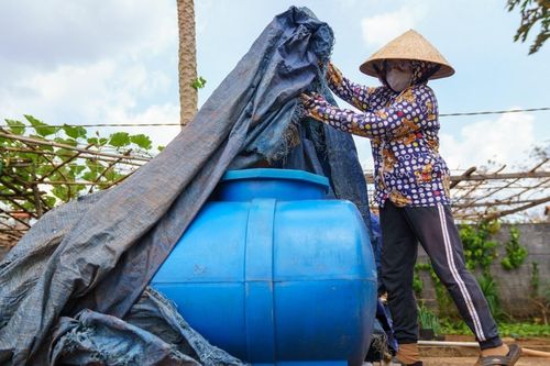 Nguy cơ sức khỏe đối với người dân sống ở nơi nhiều bụi đỏ