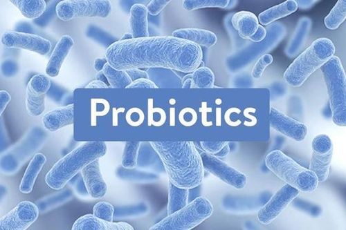 Dùng probiotic làm giảm hội chứng ruột kích thích