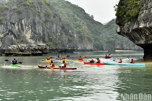 Cùng du thuyền khám phá vẻ đẹp vịnh Lan Hạ