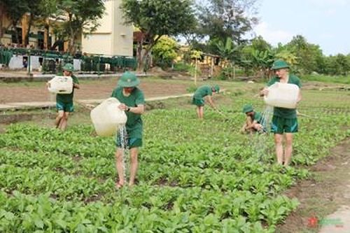 Hiệu quả tăng gia sản xuất ở Tiểu đoàn 3