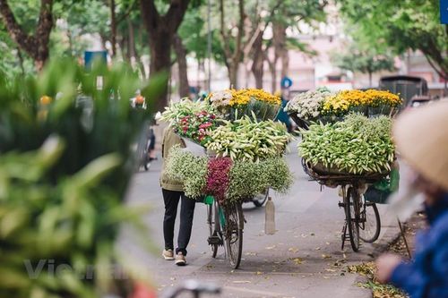 Hoa loa kèn tràn ngập các tuyến phố Thủ đô, giá giảm mạnh bất ngờ