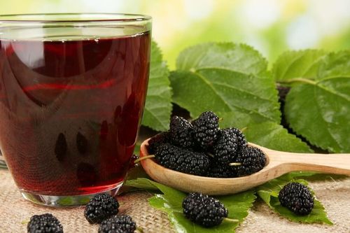 Lợi ích tuyệt vời khi uống trà lá dâu tằm