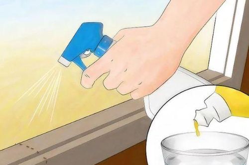 6 cách an toàn để đuổi kiến ra khỏi nhà bạn, dùng 10 lần hiệu quả cả 10