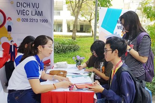 Sinh viên tìm việc gặp khó vì không biết 5 điều này