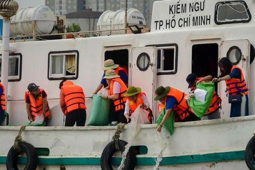 TP.HCM thả giống các loài thủy sinh tái tạo, bảo vệ môi trường trên địa bàn