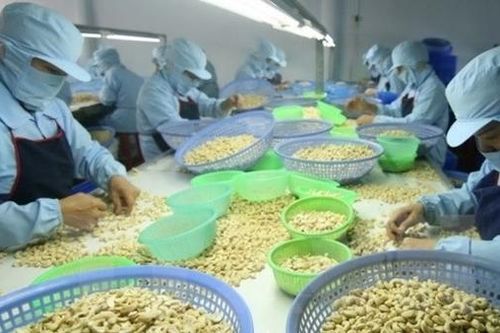Sẽ giảm lãi suất để hỗ trợ doanh nghiệp vay vốn