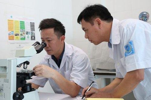 Khống chế thành công ổ côn trùng đốt gây sẩn ngứa, gãi xây xát da ở Hà Tĩnh