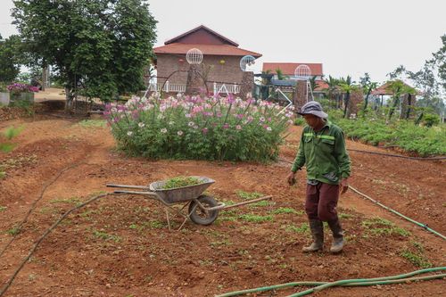 Phó bí thư huyện xây trang trại rộng 3 ha trên đất chưa có sổ đỏ