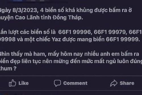 Vụ cấp 4 biển số xe đẹp ở Đồng Tháp: Bước đầu chưa phát hiện sai phạm
