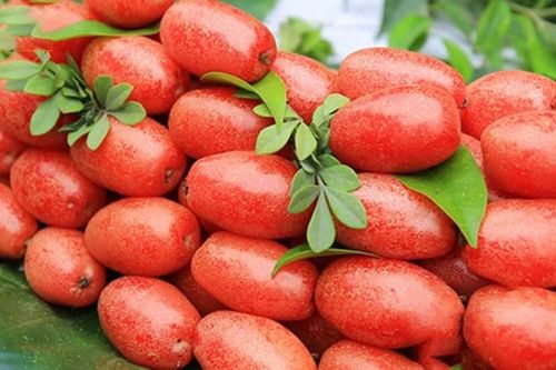 Thủy chung với... nhót