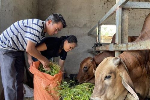 Nghệ An: Phấn đấu 50% số xã, thôn ra khỏi địa bàn đặc biệt khó khăn