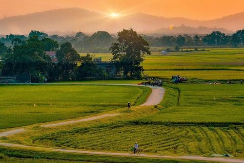 Người trẻ và giấc mơ bỏ phố về vườn