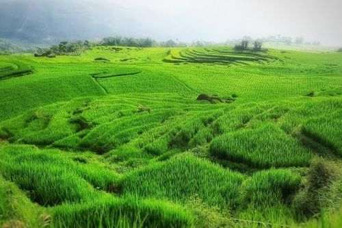 Ngỡ ngàng vẻ đẹp núi rừng Pù Luông