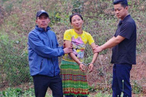 Khởi tố người phụ nữ trồng 585 cây thuốc phiện