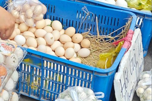 Khó tin: Trứng gà công nghiệp đắt hơn trứng gà ta